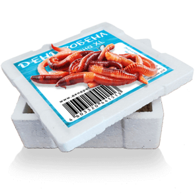 Червь Дендробена XL 25гр* Коробочка пенопласт