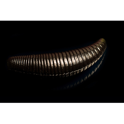 Силиконовая приманка Jara Baits Bruchi 40 (Банан) Color #02