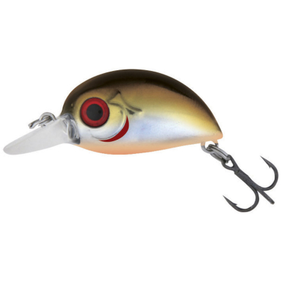 Воблер Stinger Kabu 25S-SR цвет #605