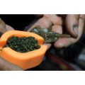 Форма для прикормки Guru X-Press Method Mould Mini GMMM