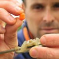 Клипса Guru Method Clip Small GMCS