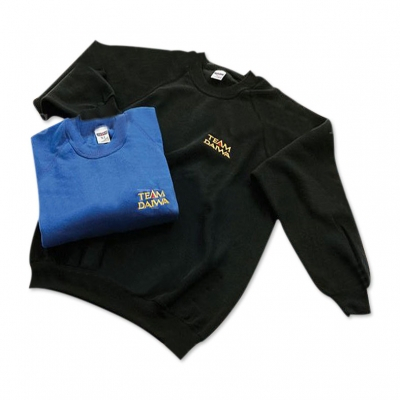 Толстовка DAIWA Team Daiwa Sweatshirt Blue L / SSBL-L