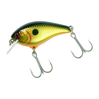 Воблер Jackall Aska 50SR цв. Gold&Black