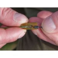 Втулка для грузил с зажимом Avid Carp Tube Gripper In-Line Insert  7 шт. AVA/17