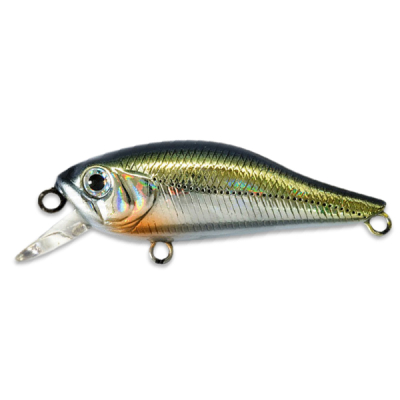 Воблер Pontoon21 Cheerful 60SP-SR цв. R30