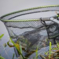 Голова подсака Guru Duel 600 Speciment Net (GLND60)