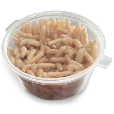 Опарыш Белый средний  в пластиковом контейнере 50мл.