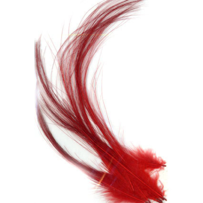 Ken Sawada Fine Fibre Hron Hackles 20 pieces Red (Small to Lagre)