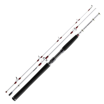 Спиннинг Daiwa TD Travel Pilk 2.10m 150-300g