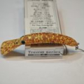Воблер Mukai Tremo Long 55SS 55мм 3,3гр. цвет #448