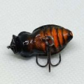 Воблер Trout Zone BuG Realistic 26F 1,4g цвет # 103