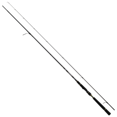 Спиннинг Daiwa Morethan EX AGS 94LML (Длина 284 см.тест 5 - 30 гр.)