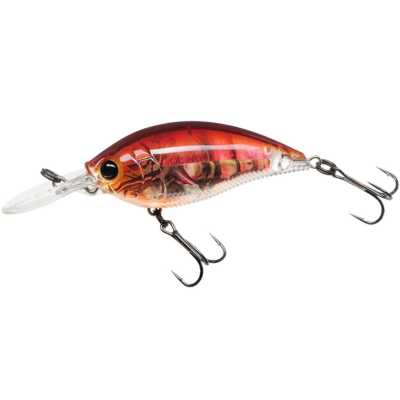 Воблер Yo-Zuri 3DR Mid Crank 50F R1317-RBCF