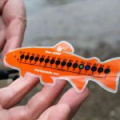 Термометр Thermowade River Sense