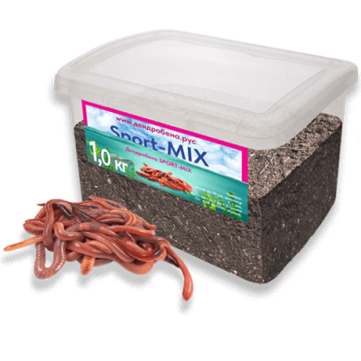 Червь Дендробена SPORT-MIX 1000гр* Пластиковая банка