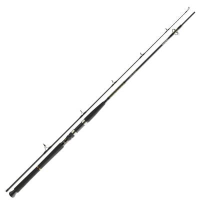Спиннинг Daiwa BG Pilk 2.40m (150-400 г)