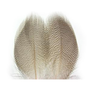 Ken Sawada Mallard Duck Grey Flank Feathers 8pices (Standart) 
