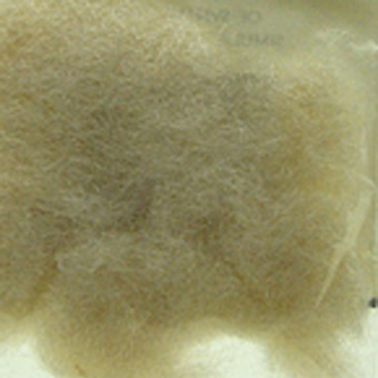 Metz Arizona Sinthetic Pcock Cream