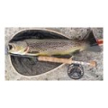 Подсачек нахлыстовый деревянный WLN 4Trouts
