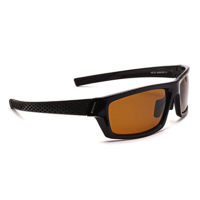 Очки Nautilus Monviso N5102 PL Brown