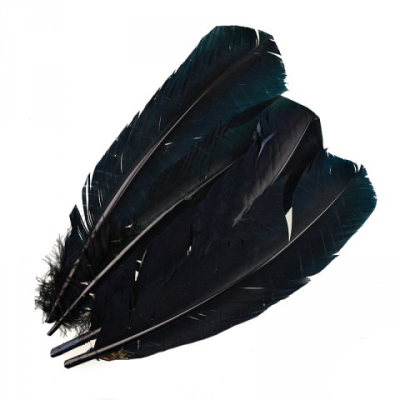 Перья индюка  маховые краш. Veniard Turkey broad Wing Quill Dyed Black
