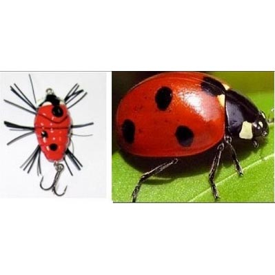 Жук Sakura Notobug цвет 06