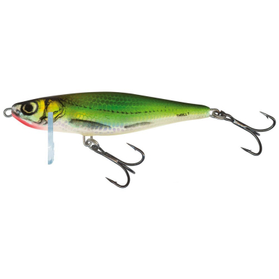 Воблер Salmo Thrill 50S цв. EF