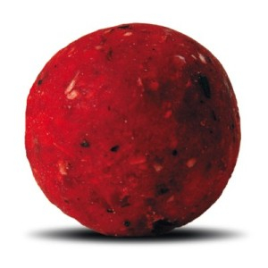 Бойли тонущие Quest Baits 15mm 450g Fruity Trifle QS15FT3 (фруктовый пустяк) 