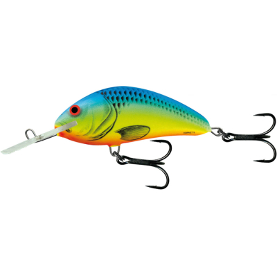 Воблер Salmo Hornet Rattlin 65F цв. CB