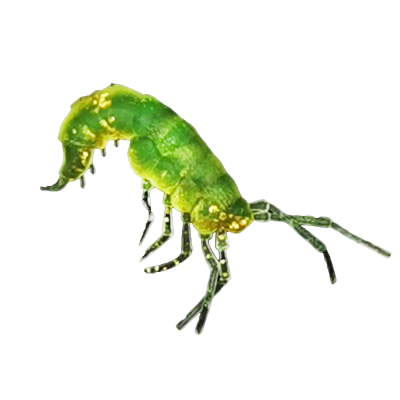 Силиконовая приманка RuBaits Shrimp 0,7"- 17 - Шартрез золотой