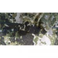 Костюм NovaTex «Лесовик» (сорочка, мох) КВЕСТ, р-р 44-46 рост 170-176