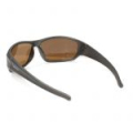 Очки Nautilus Amaro N7202 PL Brown
