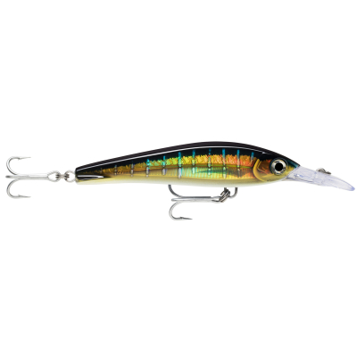 Воблер Rapala X-Rap Magnum Xtreme XRMAGXT160 цвет HDSFU