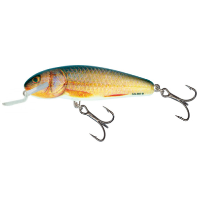 Воблер Salmo Executor SDR 70 цв. RR