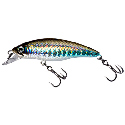 Воблер Fishycat Straycat 55F цв. R09