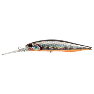 Воблер DUO Realis Jerkbait 100DR-F цв. #D81