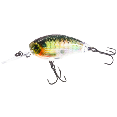 Воблер Yo-Zuri 3DR Mid Crank (F) 50mm R1317-RBG
