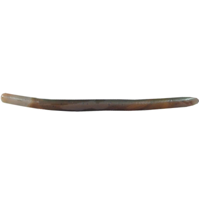 Силиконовая приманка черви Reins Swamp Worm Jr 4.8" цв. #B01 Castaic Choice