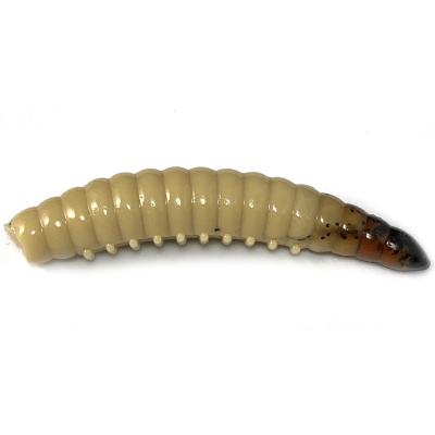 Силиконовая приманка Boroda Baits Salo 45 цв. "Слеза ангела" (Бежевый), 8 шт./уп.