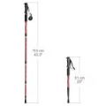 Палки треккинговые 51-110см (YJQT-32-Red)