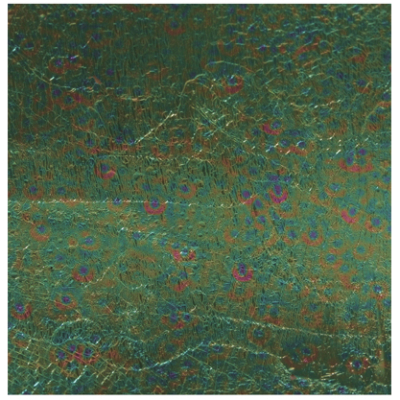 Metz Sili Skin Peacock