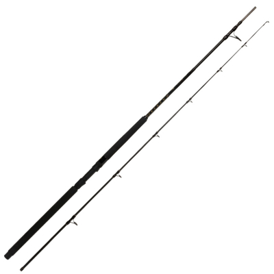 Спиннинг Penn ROD TRQ 1002 60/120 Spin