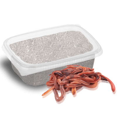 Червь Дендробена (Без Этикетки) 20гр* Мягкая пластиковая банка