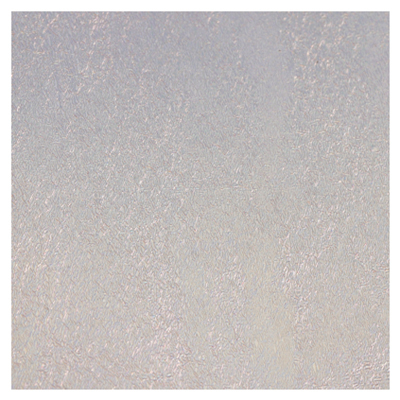 Metz Sili Skin Prismatic Silver