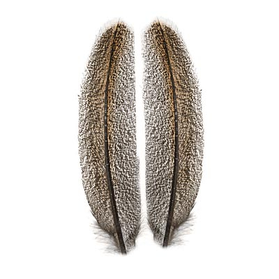 Перья индюка Orvis Mottled Turkey Feathers Dark 