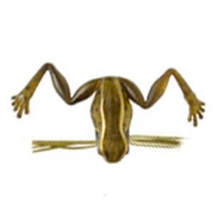 Мягкая приманка Viva Namagaeru 30 цв. #9