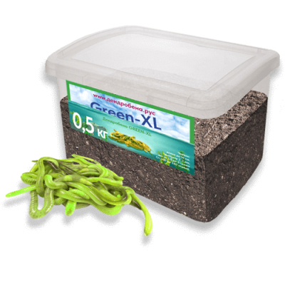 Червь Дендробена XL GREEN 500гр* Пластиковая банка