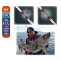 Удилище WFT Soroya Special 200-600g, 2tlg.2,10m (1D-B 979-030)