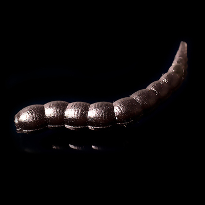 Силиконовая приманка Trout Baits Jara Buf Worm 45 (Caviar+Pheromones) Color #02