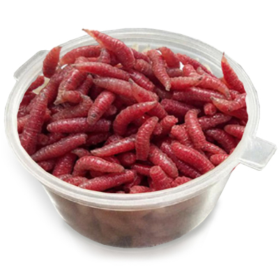 Опарыш Красный средний  в пластиковом контейнере 50мл.